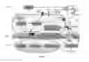 Fig. 09 - METHODS AND COMPOSITIONS FOR MANAGING VASCULAR CONDITIONS