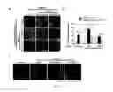 Fig. 13 - METHODS AND COMPOSITIONS FOR MANAGING VASCULAR CONDITIONS