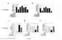 Fig. 14 - METHODS AND COMPOSITIONS FOR MANAGING VASCULAR CONDITIONS