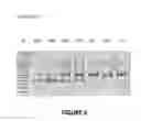 Fig. 07 - Antisense oligonucleotides for inducing exon skipping and methods of use thereof