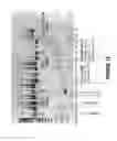 Fig. 11 - Antisense oligonucleotides for inducing exon skipping and methods of use thereof