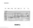 Fig. 07 - Antisense oligonucleotides for inducing exon skipping and methods of use thereof