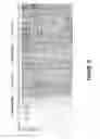 Fig. 13 - Antisense oligonucleotides for inducing exon skipping and methods of use thereof