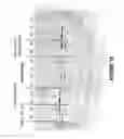 Fig. 16 - Antisense oligonucleotides for inducing exon skipping and methods of use thereof