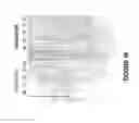 Fig. 17 - Antisense oligonucleotides for inducing exon skipping and methods of use thereof