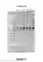 Fig. 22 - Antisense oligonucleotides for inducing exon skipping and methods of use thereof