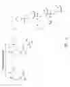 Fig. 04 - Multiple exon skipping compositions for DMD