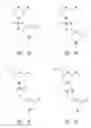 Fig. 05 - Multiple exon skipping compositions for DMD