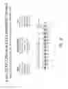 Fig. 20 - Multiple exon skipping compositions for DMD