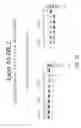 Fig. 25 - Multiple exon skipping compositions for DMD