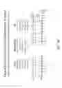 Fig. 40 - Multiple exon skipping compositions for DMD