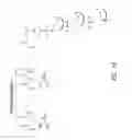 Fig. 03 - Multiple exon skipping compositions for DMD