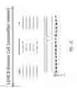Fig. 08 - Multiple exon skipping compositions for DMD