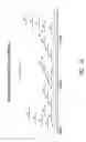 Fig. 12 - Multiple exon skipping compositions for DMD