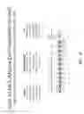 Fig. 20 - Multiple exon skipping compositions for DMD