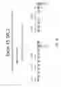 Fig. 37 - Multiple exon skipping compositions for DMD