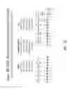 Fig. 40 - Multiple exon skipping compositions for DMD