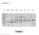 Fig. 07 - ANTISENSE OLIGONUCLEOTIDES FOR INDUCING EXON SKIPPING AND METHODS OF USE THEREOF