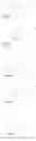 Fig. 41 - ENA nucleic acid pharmaceuticals capable of modifying splicing of mRNA precursors