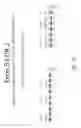 Fig. 14 - Multiple exon skipping compositions for DMD
