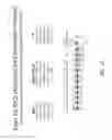 Fig. 20 - Multiple exon skipping compositions for DMD