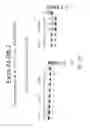 Fig. 24 - Multiple exon skipping compositions for DMD