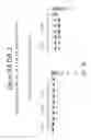Fig. 25 - Multiple exon skipping compositions for DMD
