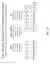 Fig. 40 - Multiple exon skipping compositions for DMD
