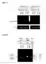 Fig. 07 - NUCLEIC ACIDS INVOLVED IN VIRAL INFECTION