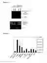 Fig. 09 - NUCLEIC ACIDS INVOLVED IN VIRAL INFECTION