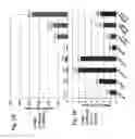 Fig. 03 - Compositions And Methods To Enhance Protein Expression