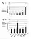 Fig. 05 - Compositions And Methods To Enhance Protein Expression
