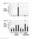 Fig. 07 - Compositions And Methods To Enhance Protein Expression