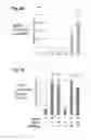 Fig. 19 - Compositions And Methods To Enhance Protein Expression