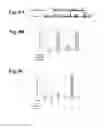 Fig. 32 - Compositions And Methods To Enhance Protein Expression