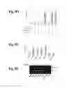 Fig. 33 - Compositions And Methods To Enhance Protein Expression