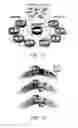 Fig. 02 - TNT cloning system