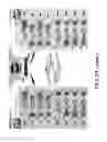 Fig. 06 - TNT cloning system