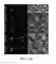Fig. 20 - TNT cloning system