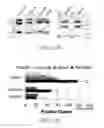 Fig. 22 - TNT cloning system