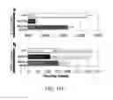 Fig. 26 - TNT cloning system