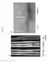 Fig. 02 - COMPOSITIONS AND METHODS TO ENHANCE MECHANICAL STALK STRENGTH IN PLANTS