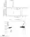 Fig. 06 - Polypeptides against plant pathogenic fungi