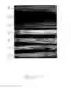 Fig. 03 - GENERATION OF CROPS RESISTANT TO CEREAL RUST DISEASE BY SILENCING OF SPECIFIC PATHOGEN GENES