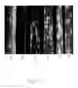 Fig. 04 - GENERATION OF CROPS RESISTANT TO CEREAL RUST DISEASE BY SILENCING OF SPECIFIC PATHOGEN GENES