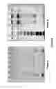 Fig. 03 - Methods and compositions for treating genetically linked diseases of the eye