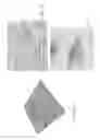 Fig. 07 - Nanotubes as Carriers of Nucleic Acids into Cells