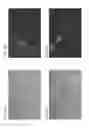 Fig. 08 - Nanotubes as Carriers of Nucleic Acids into Cells