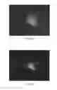Fig. 10 - Nanotubes as Carriers of Nucleic Acids into Cells