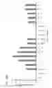 Fig. 43 - RNA-guided human genome engineering